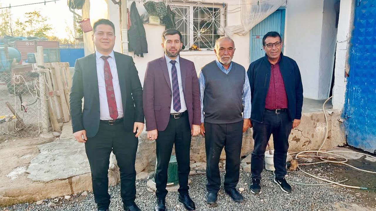 Şefaatli Ulu Çınar