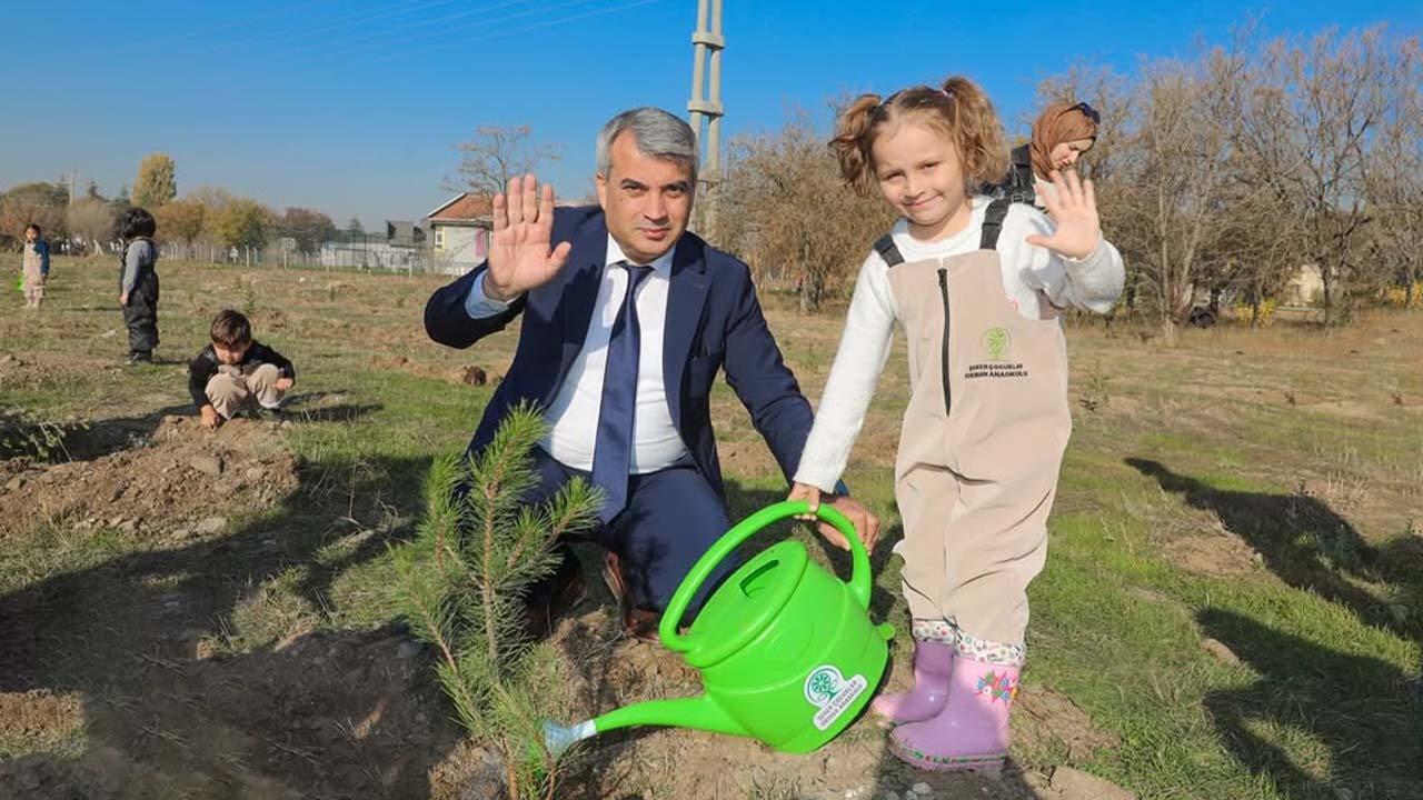 Tüek Şeker Fidan (2)