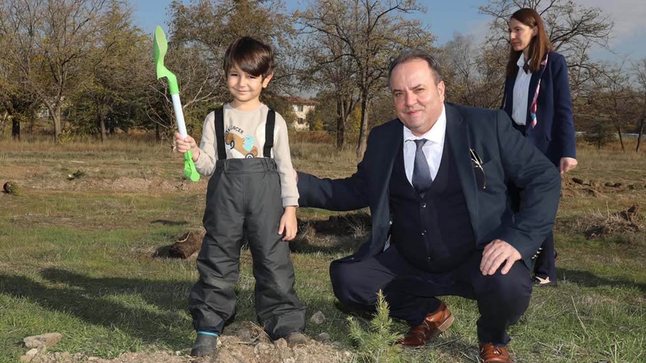 Tüek Şeker Fidan (5)