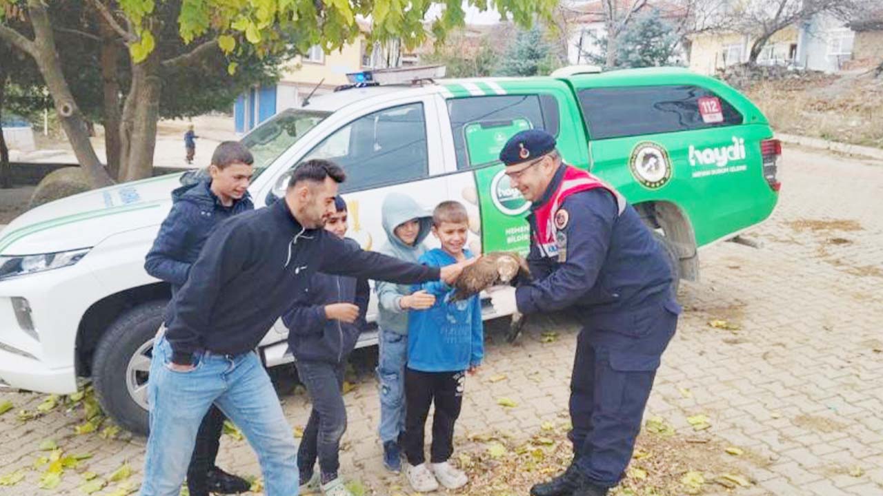 Yaralı Şahin Iha (1)