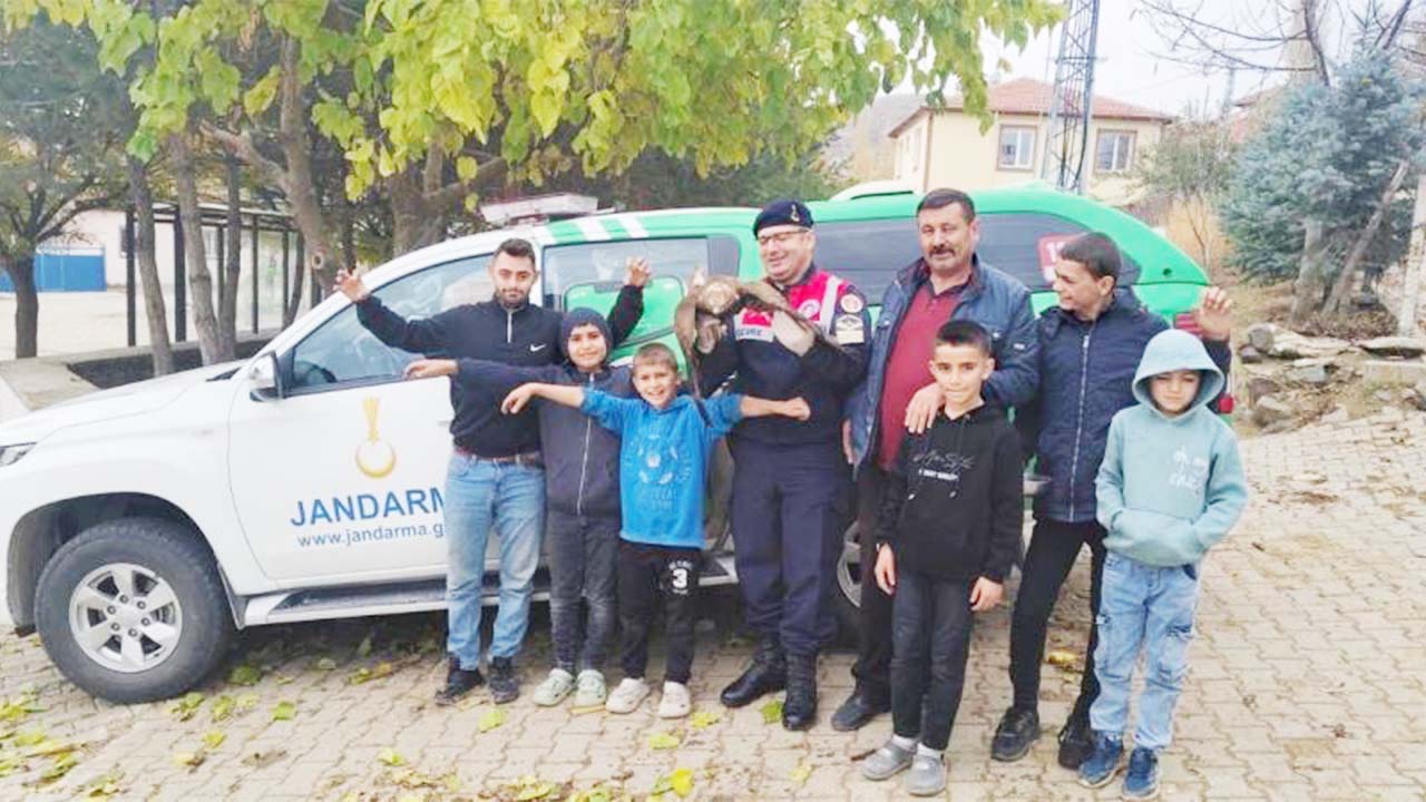 Yaralı Şahin Iha (2)