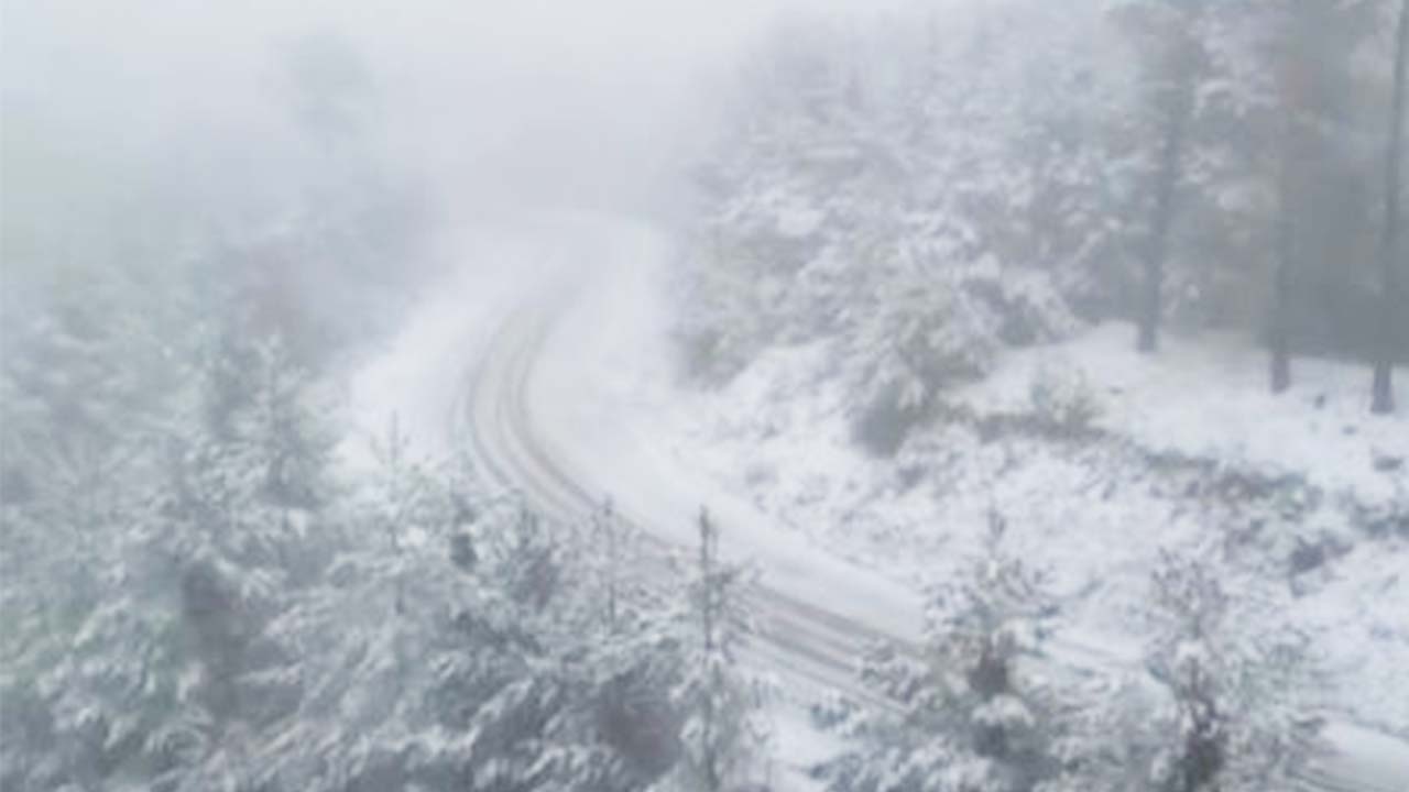 Akdağ Kar Yağışı Orman (1)