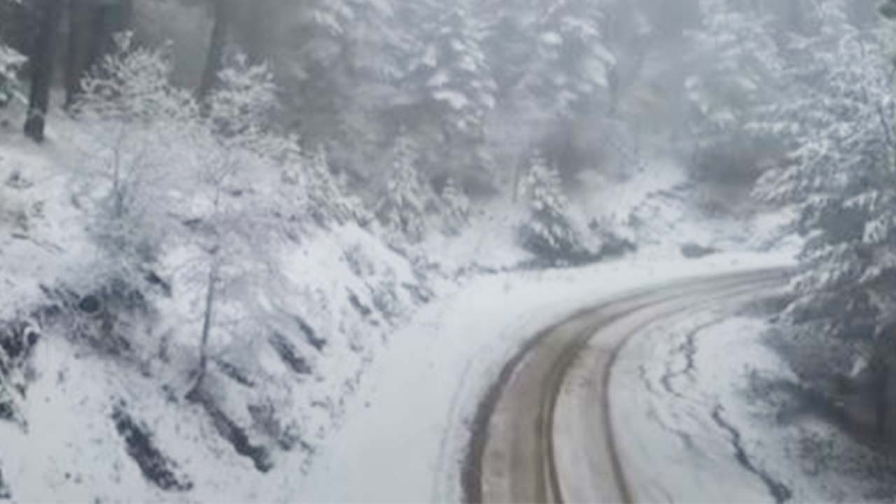 Akdağ Kar Yağışı Orman (4)