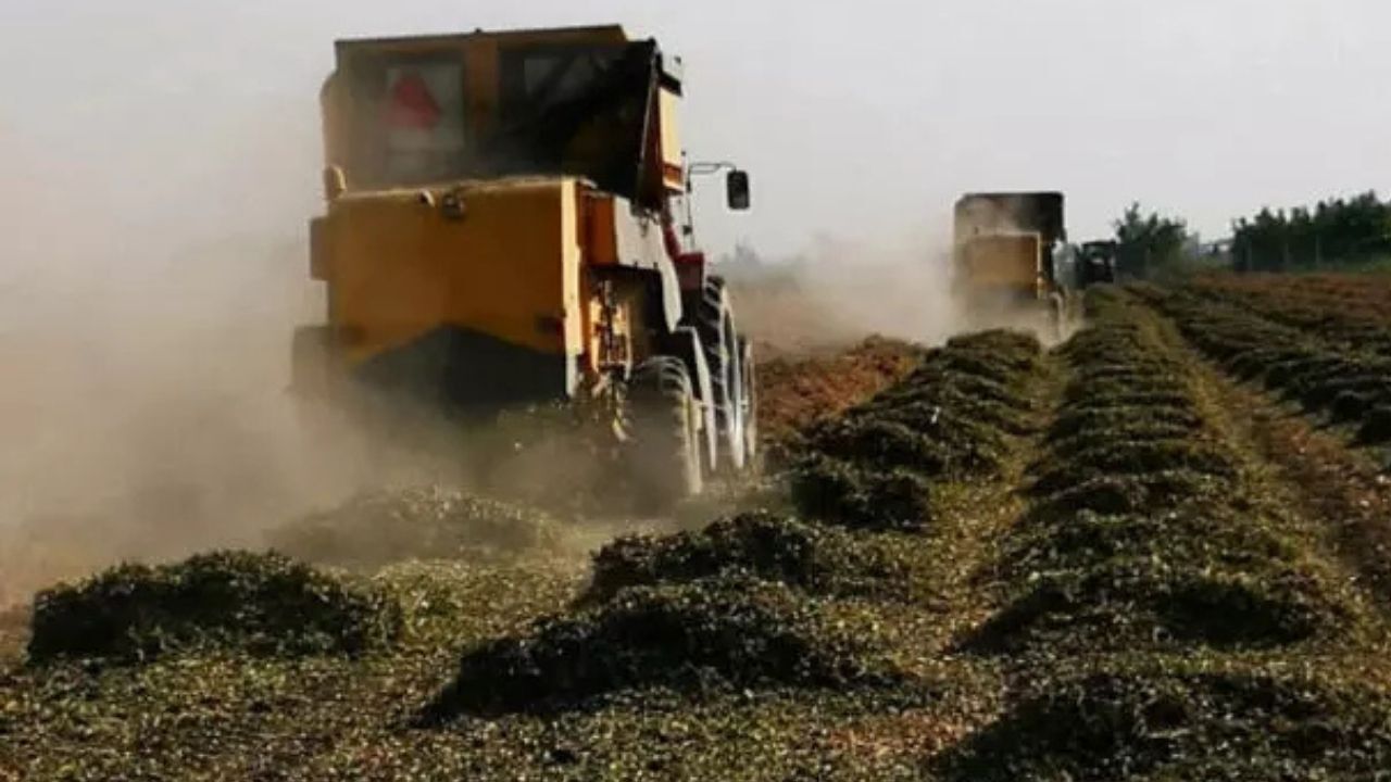 Aralık Ayı Çiftçi Destek Ödemeleri Hesaplara Yatırıldı-1
