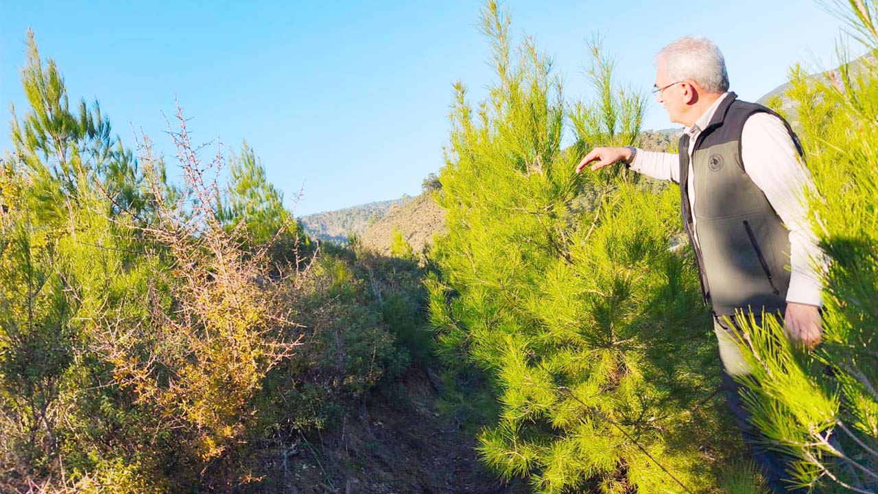 Bekir Karabey Orman (1)