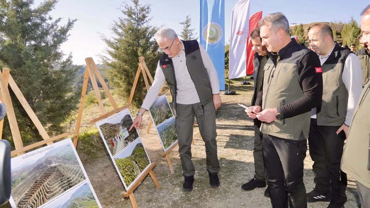 Bekir Karabey Orman (3)