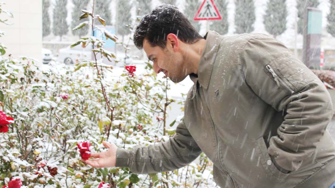 Çiçekler Kar Altında Kaldı (2)