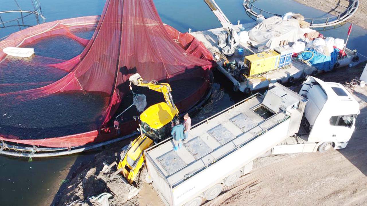 Iha Bozkır Balıkçılık (3)