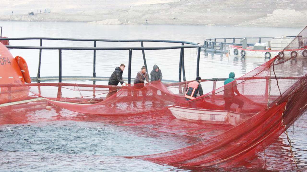 Iha Bozkır Balıkçılık (4)