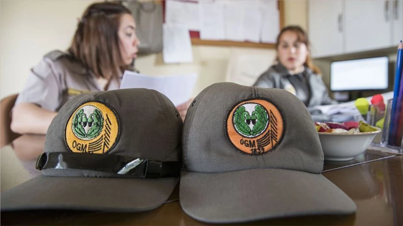 Ogm, Kpss Puanıyla 496 Personel Alacak (2)