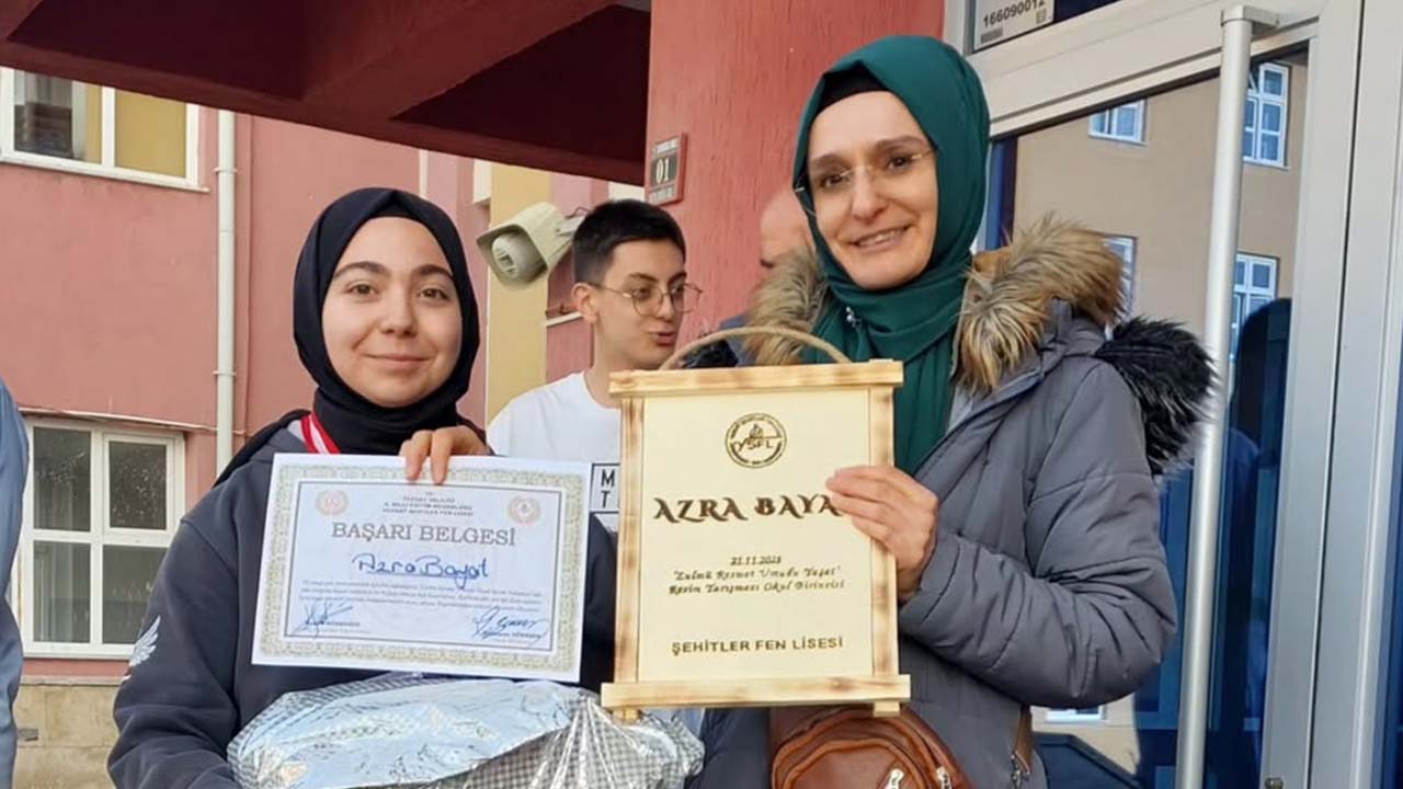 Şehitler Fen Lisesi Resim (3)