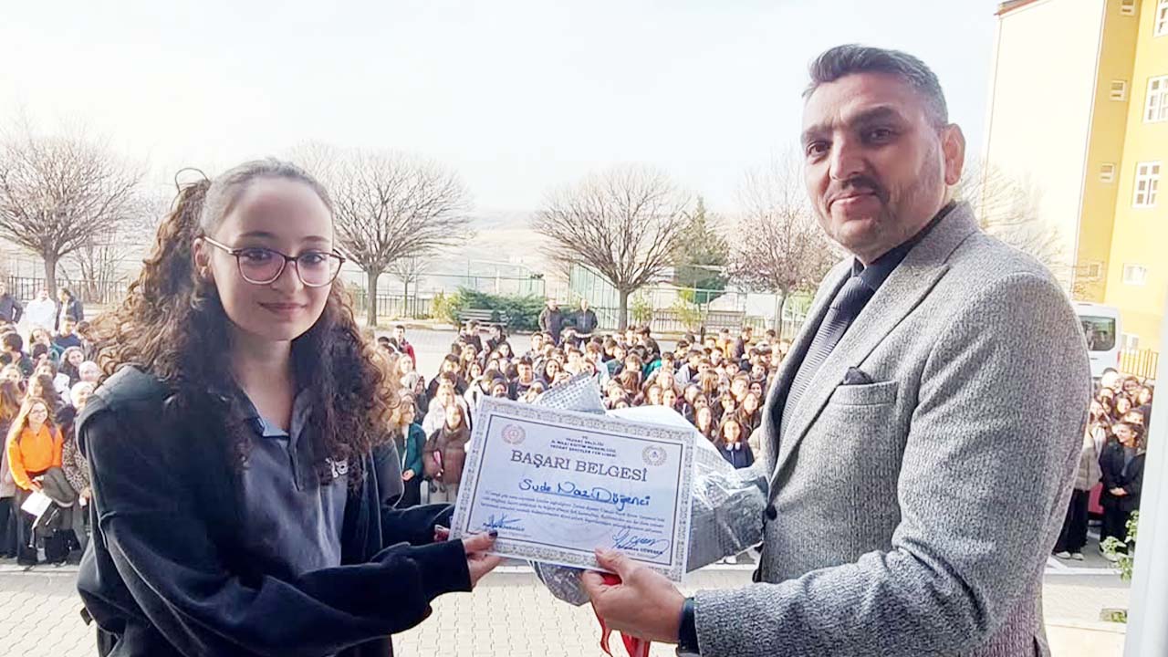 Şehitler Fen Lisesi Resim (4)