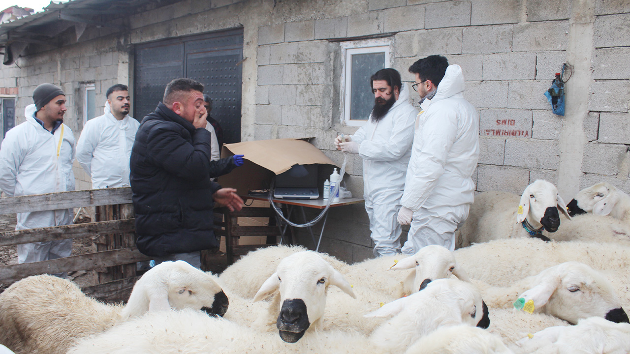 Tarım Damızlık Iş Birliği (2)