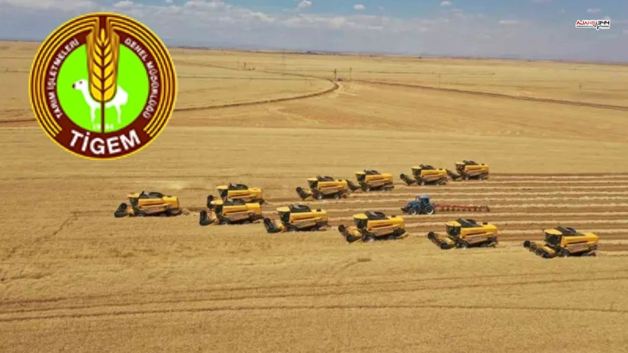 Ti̇gem 254 Sürekli İşçi Alımı İçin Başvurular Başlıyo-1