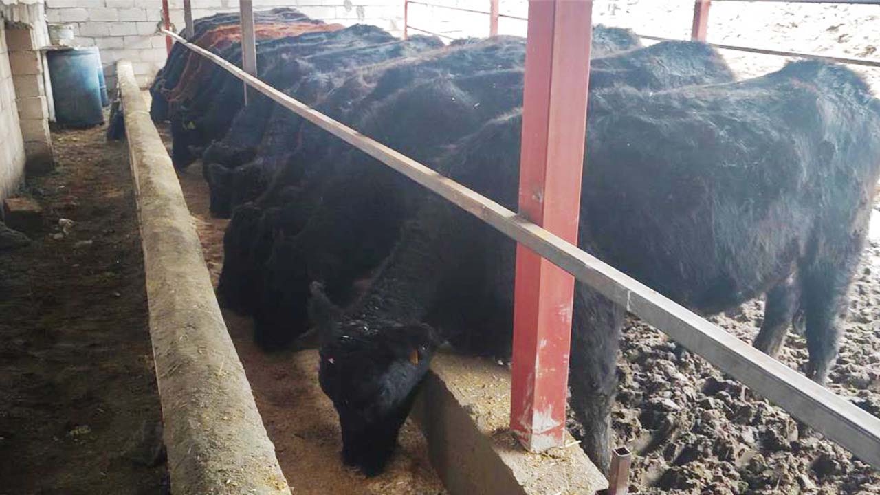 Yozgat Atama Iş (1)