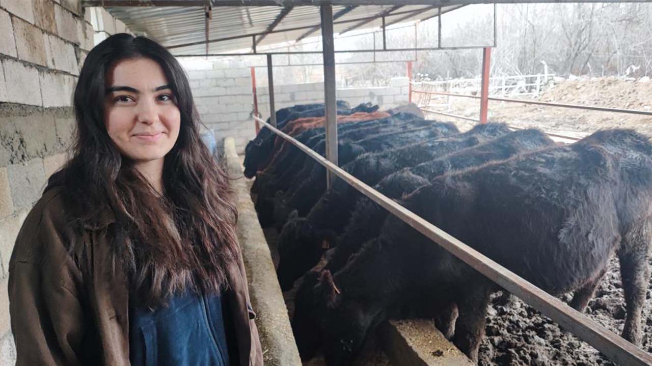 Yozgat Atama Iş (2)