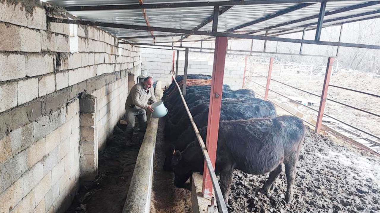 Yozgat Atama Iş (4)