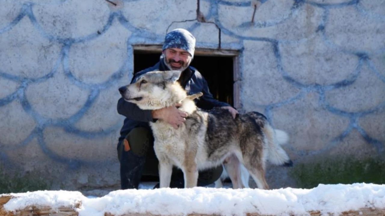 Ankara’da Kurtlarla Başlayan Bir Hayal Gerçek Oldu-1