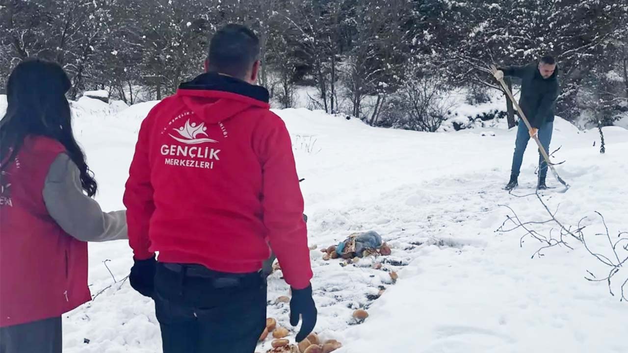 Gençlik Merkezi Doğa (1)