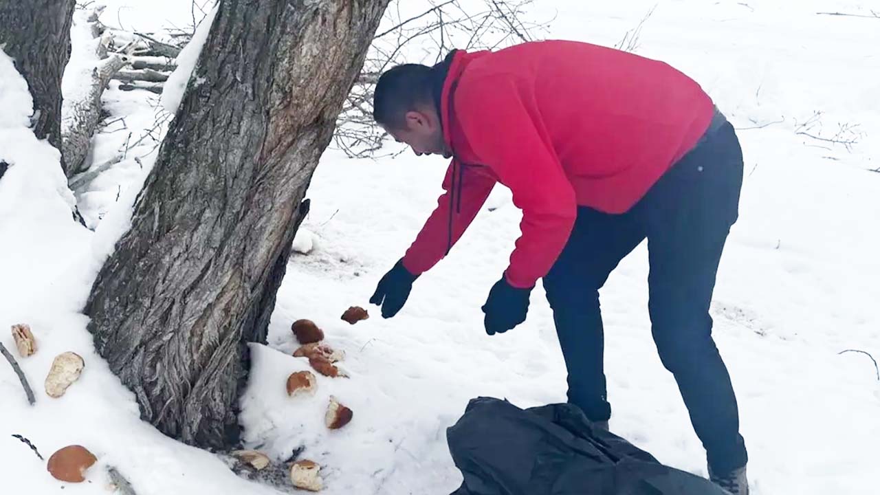 Gençlik Merkezi Doğa (2)