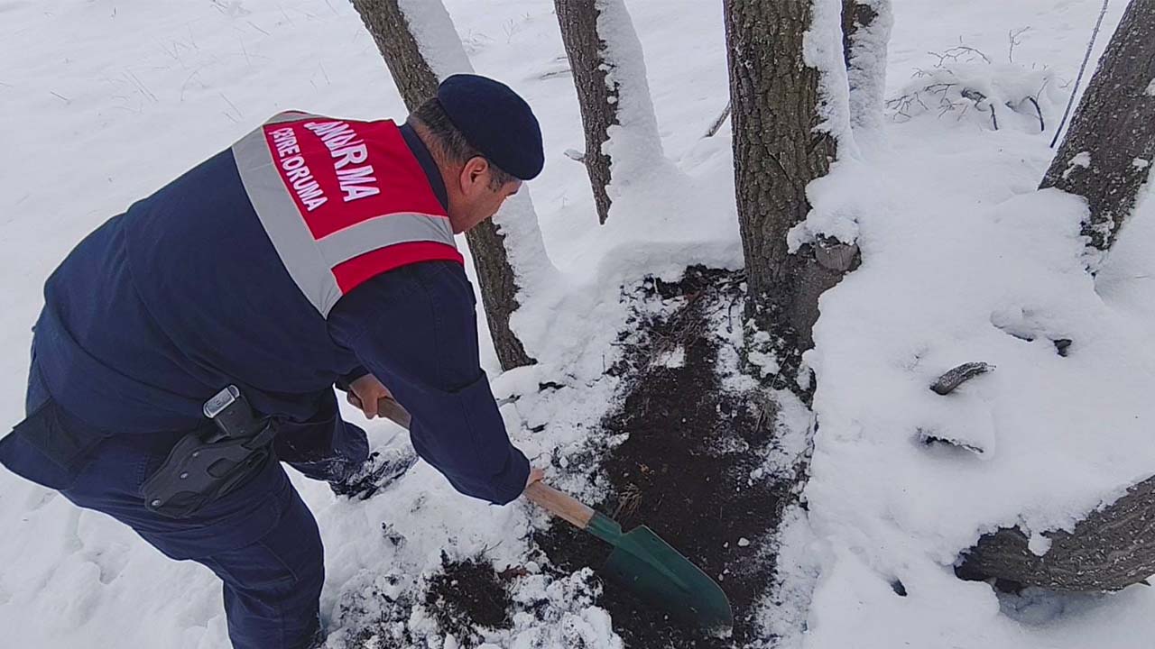 Jandarma Su Ürünleri (3)-1