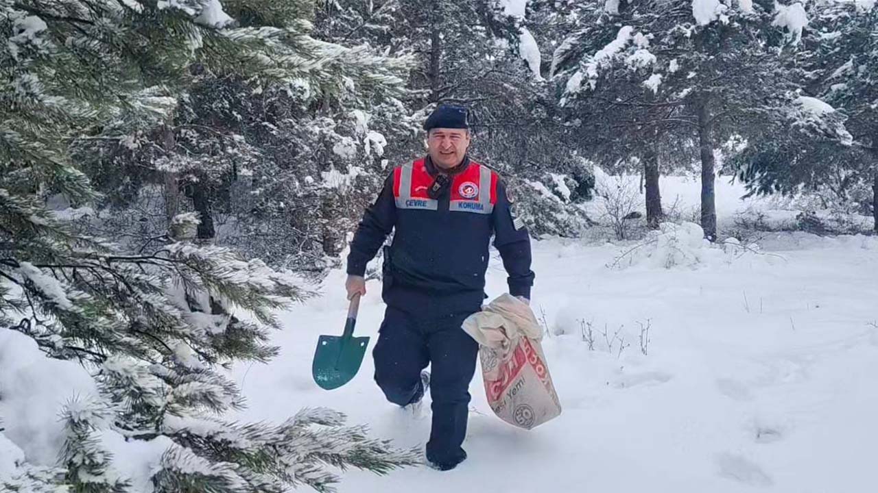 Jandarma Yaban Hayatı Koruma (3)