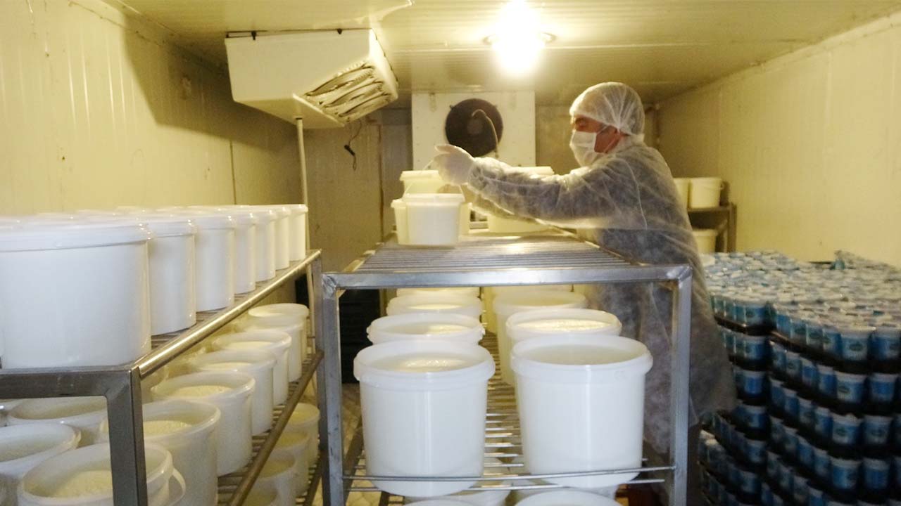 Sorgun Ayran Üretici (5)