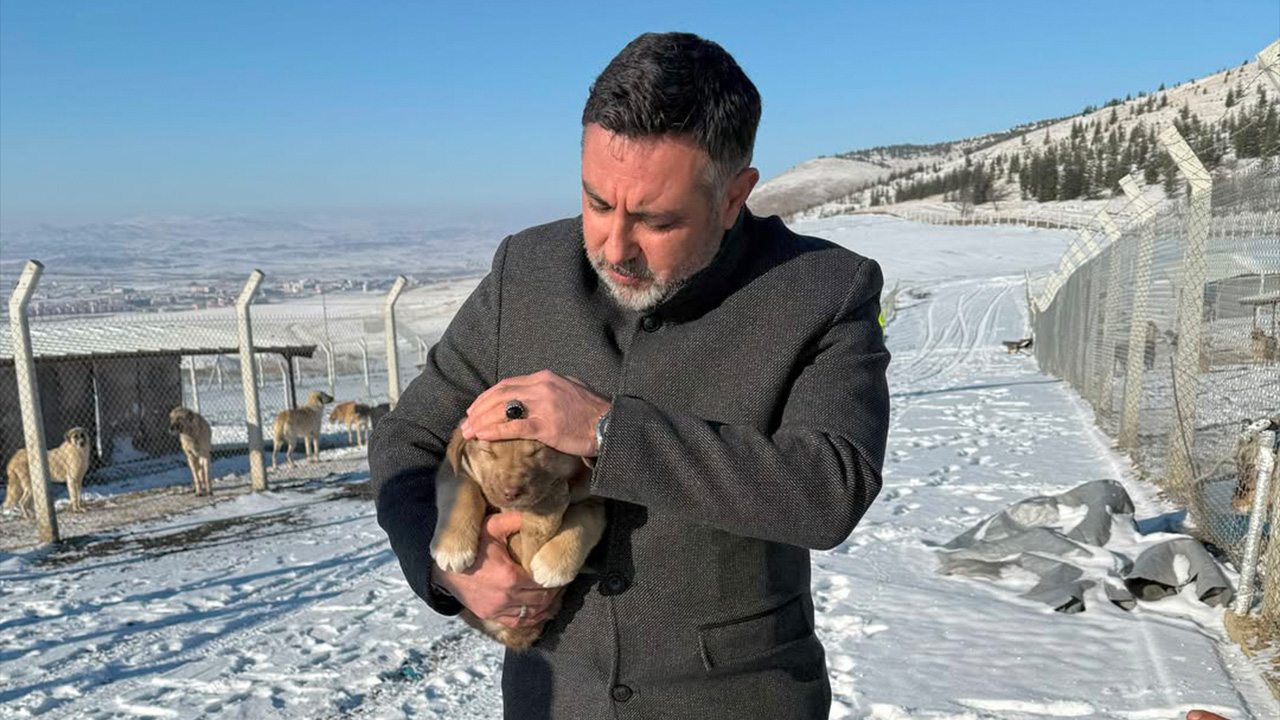 Yerköy’de Can Dostlara Kış Güvencesi (1)