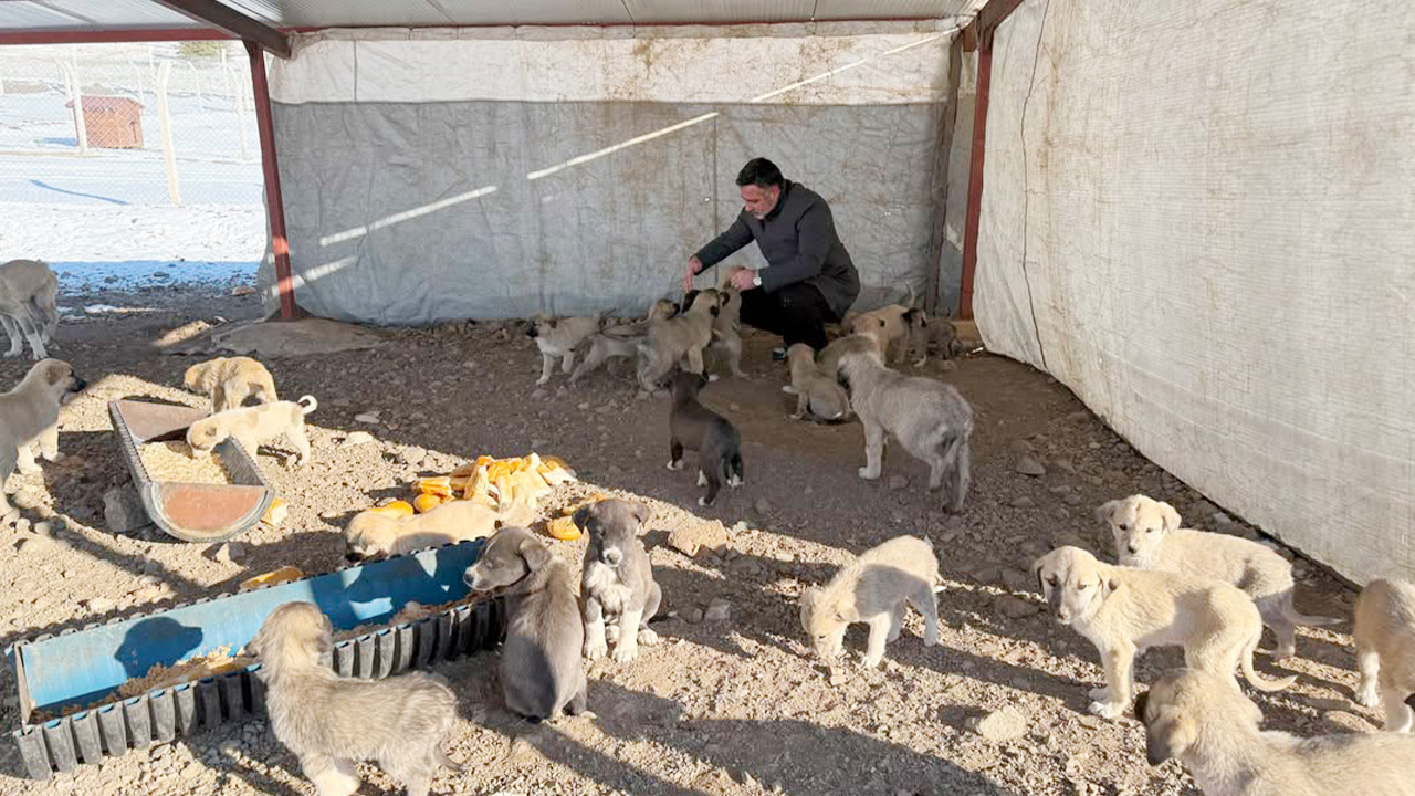 Yerköy’de Can Dostlara Kış Güvencesi (4)