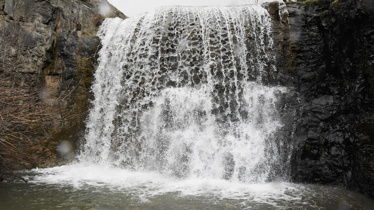 Doğa Yeniden Canlandı (4)