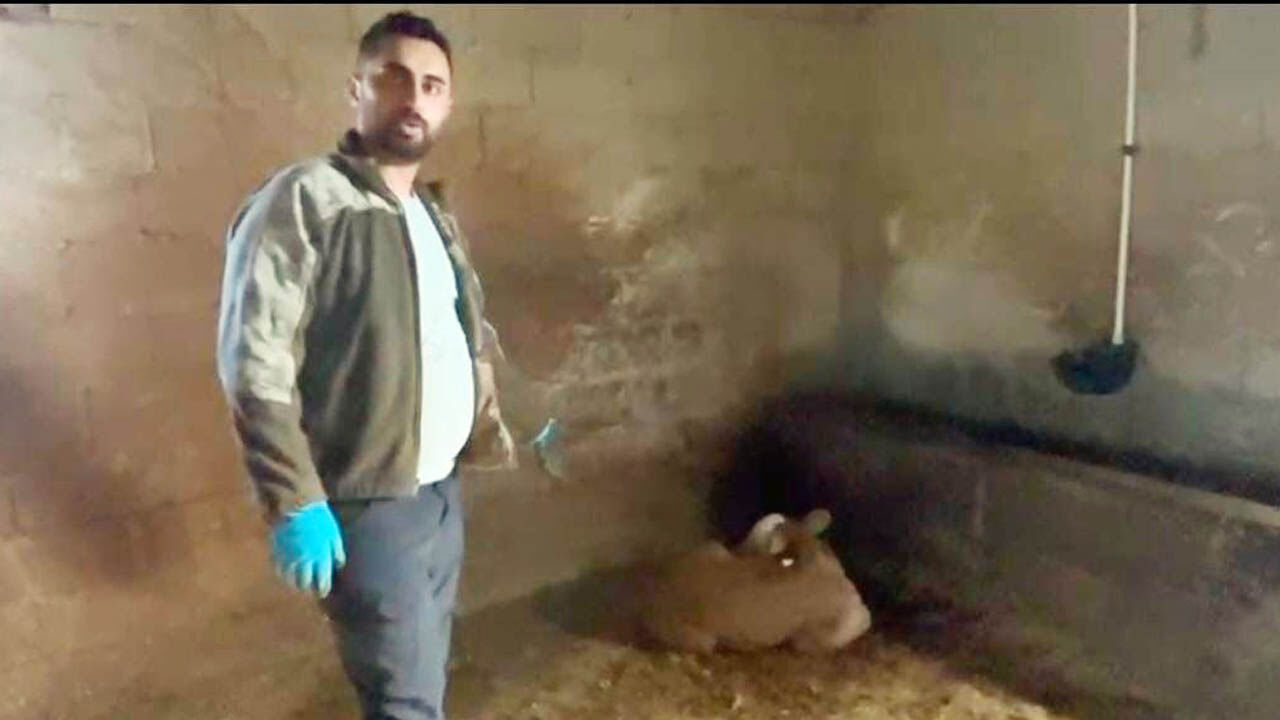 Yozgatta Yıldırım Düştü1