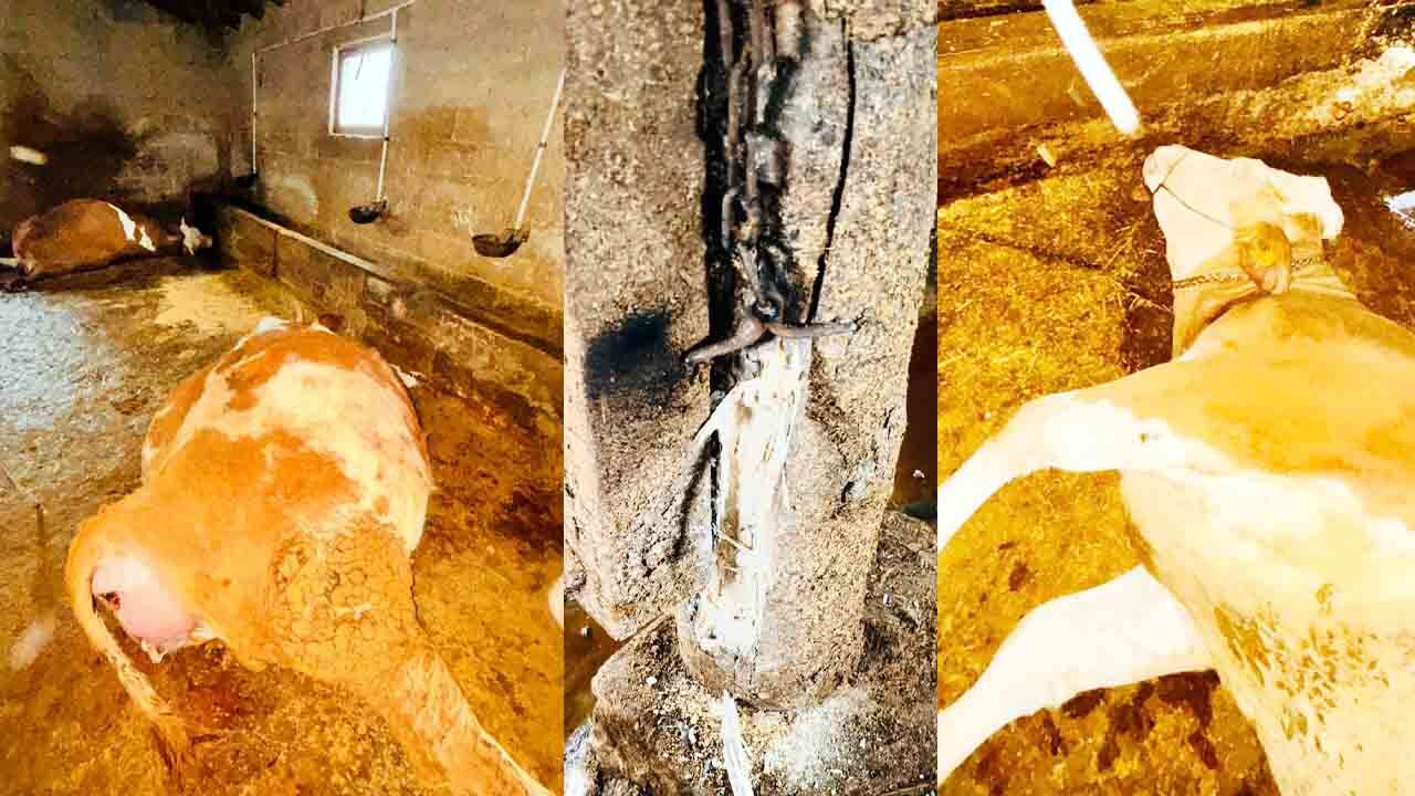 Yozgatta Yıldırım Düştü2