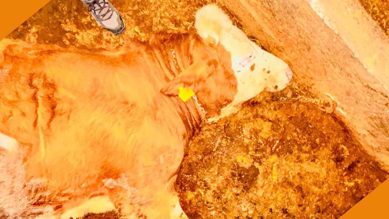 Yozgatta Yıldırım Düştü4