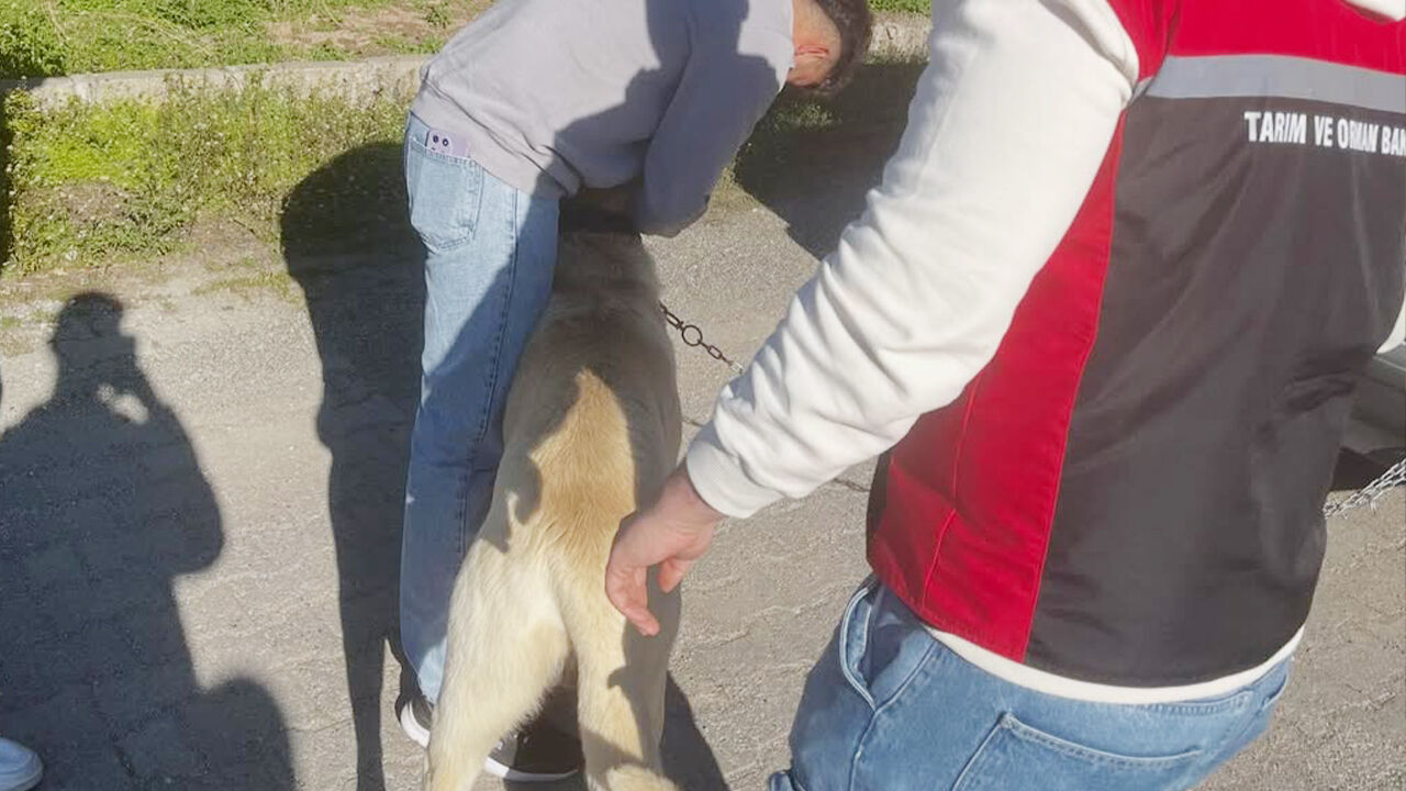 Aydıncıkta Seferberlik (1)