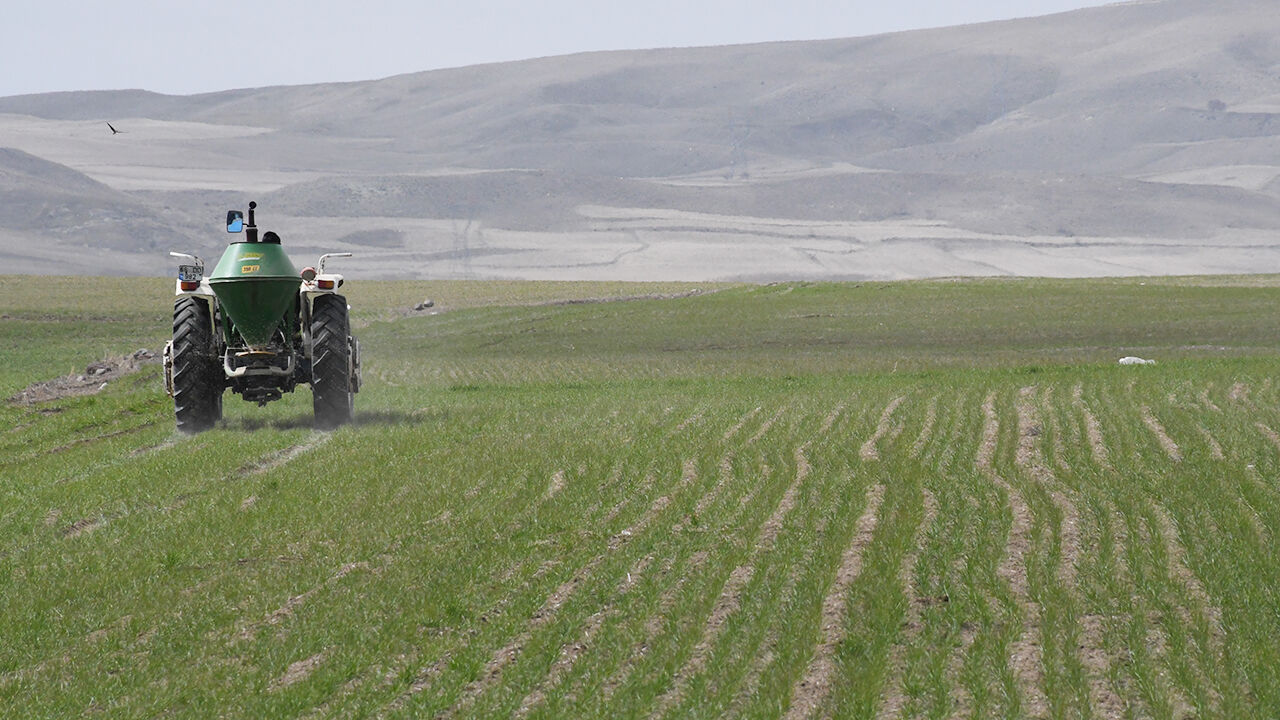 Bereket Mesaisi Başladı (1)