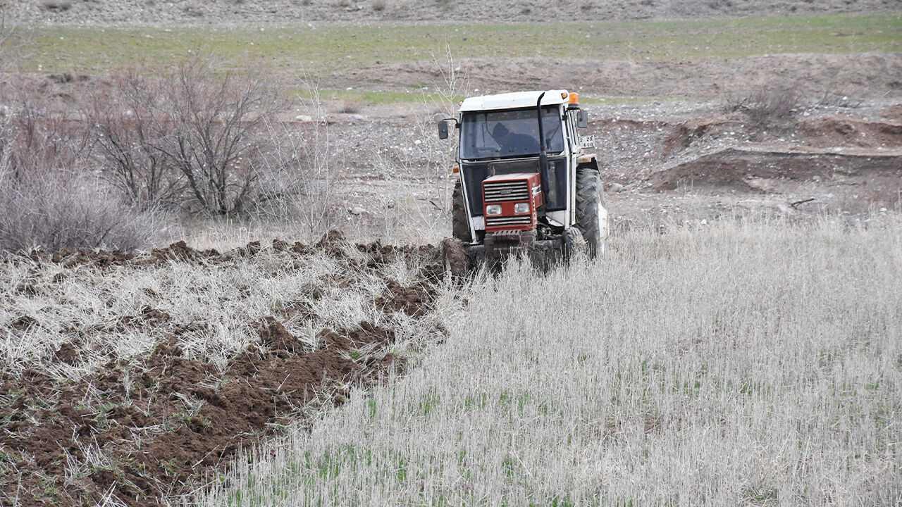 Bereket Mesaisi Başladı (2)