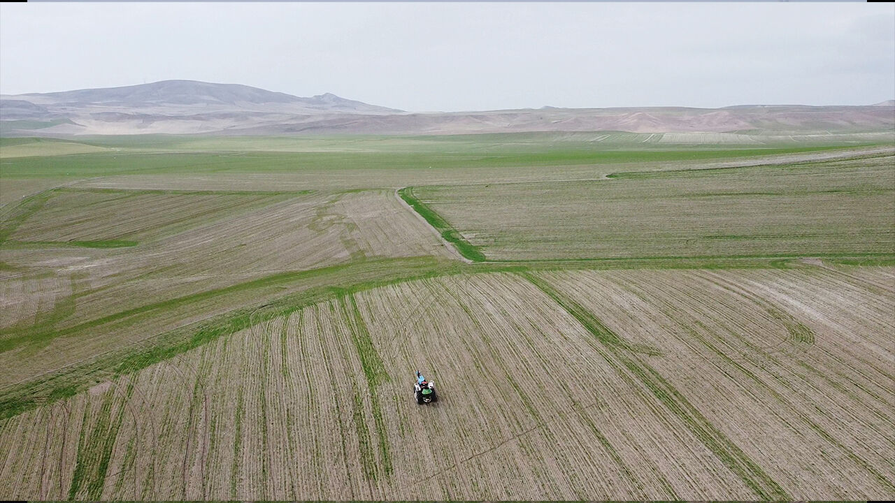 Bereket Mesaisi Başladı (7)