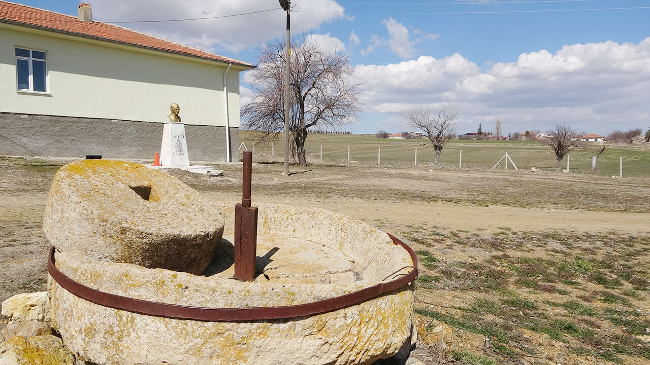 Incirin Adı Yok (1)