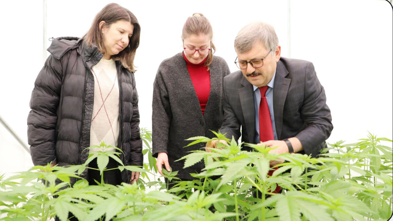 Kenevirde Yeni Dönem (3)