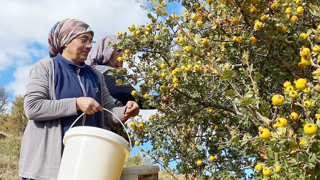 Üreten Kadınlar (3)