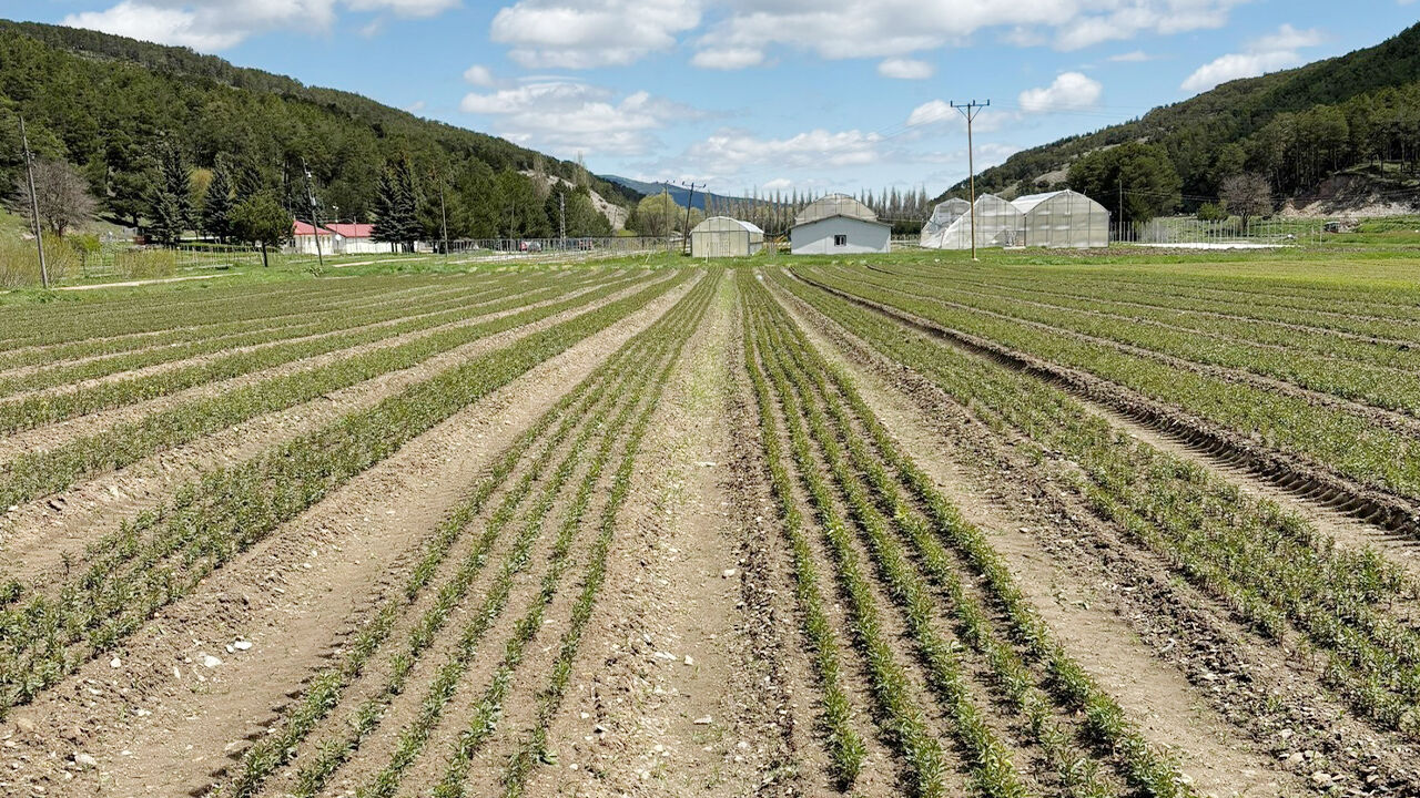 Yeşil Vatan’ın Kalbi Akdağmadeni’nde Atıyor (3)