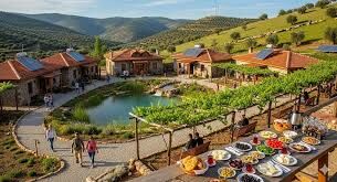 AKDAĞMADENİ BELEDİYESİ AKÇAM KONAKLAMALI KIRSAL TURİZM ALANI 1. ETAP YAPIM İŞİ