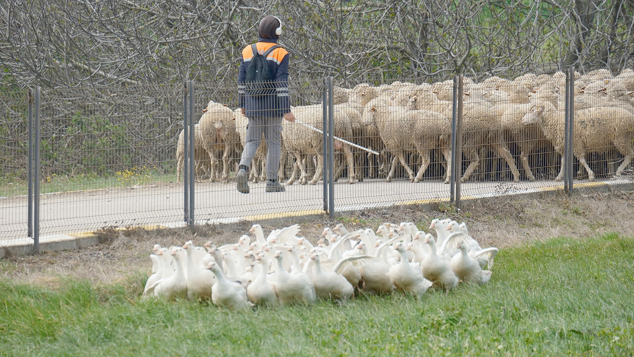 Annesi Yozgat'tan (1)