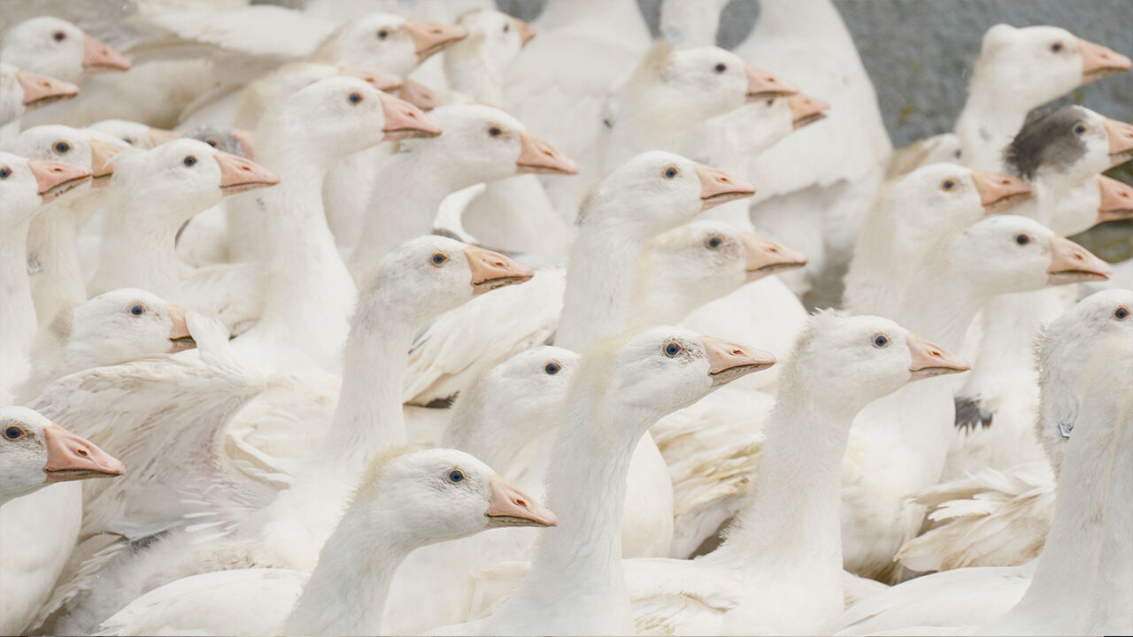 Annesi Yozgat'tan (2)