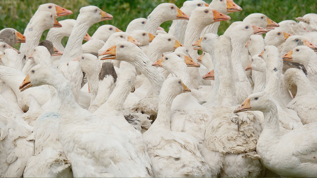 Annesi Yozgat'tan (5)