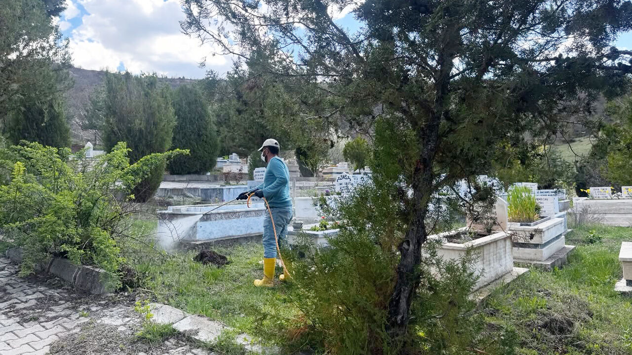 Aydıncık’ta Çevre Seferberliği (1)