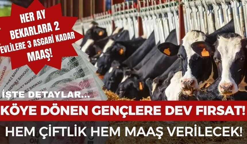 Köye Dönüşte Maaş Ne Kadar? 3 Asgari Ücret Ve Çiftlik Desteği Detayları