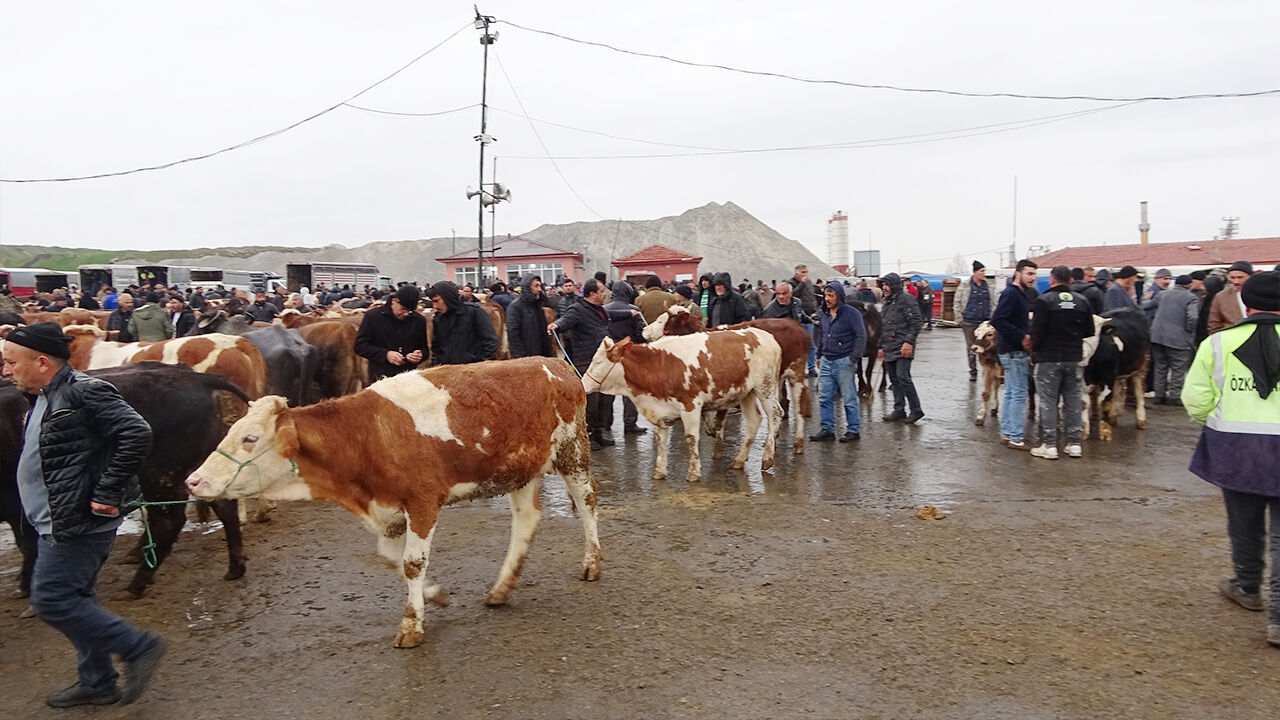 Kurbanlar Ne Kadar (4)