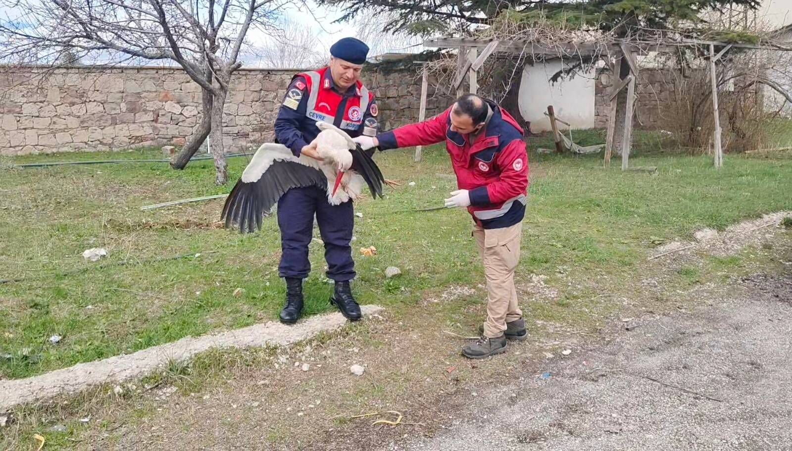 Yozgat’ta Jandarmadan Doğa Seferberliği: Yaralı Leylek Koruma Altına Alındı