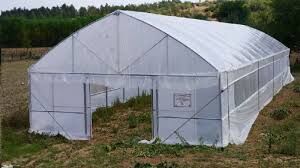 525 M2LİK SERA MAL ALIMI